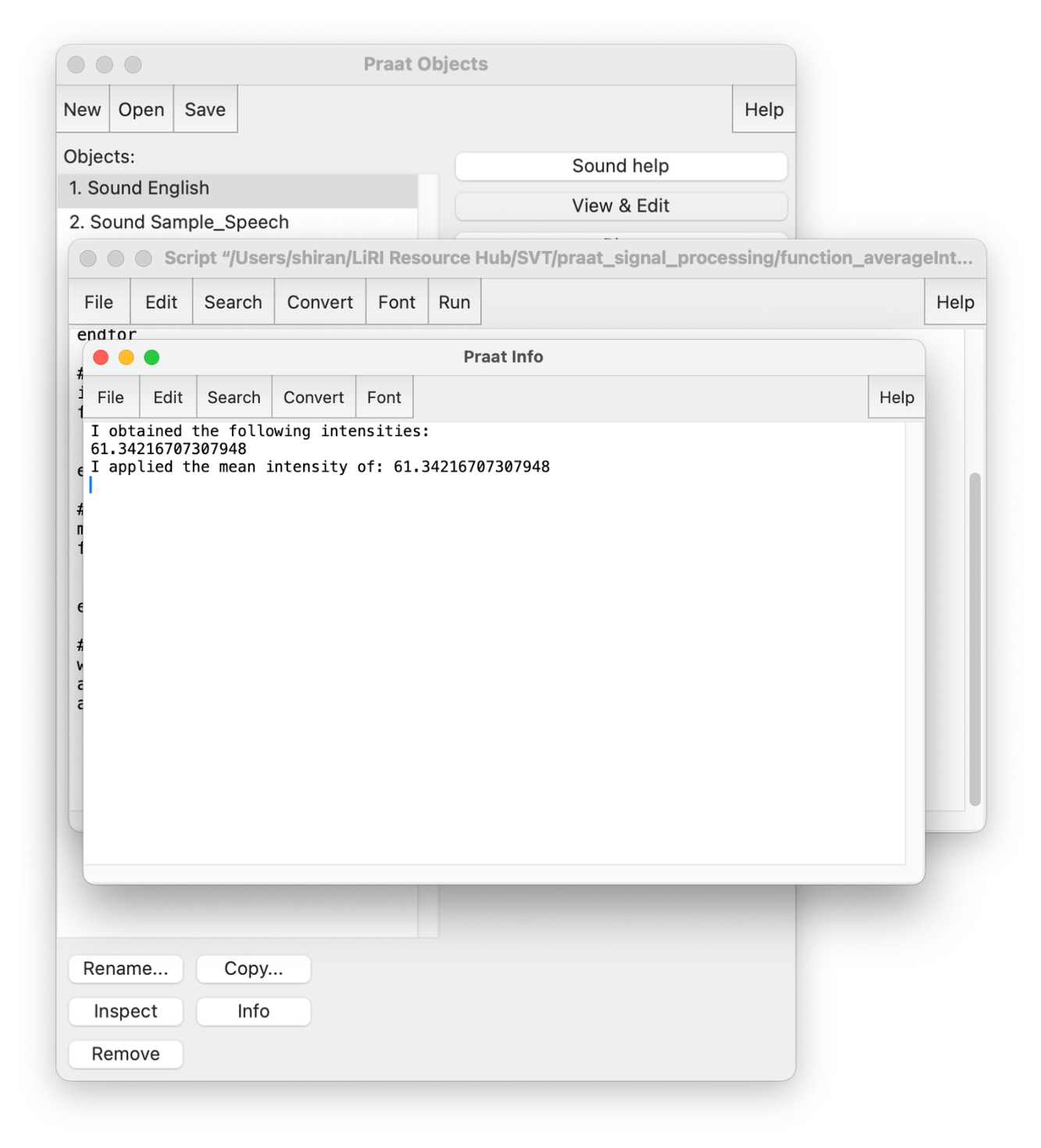 Example of the resulting shown in a new Praat Info window after running the script for a selected Sound object.